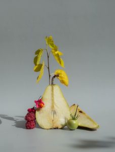 Découvrez la cuisine thérapie qui éveille les sens, accompagnée de la photo-thérapie pour sublimer votre parcours de thérapie corporelle.